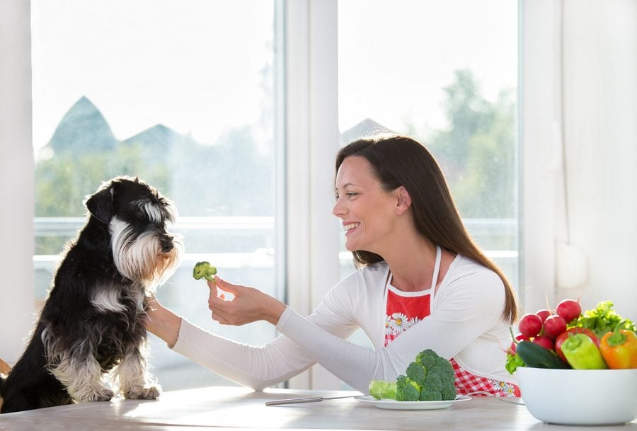 can dogs eat guavas