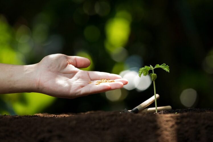 chemical fertilizer facts