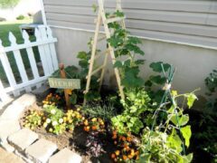 25 Sturdy Pumpkin Trellis Ideas For Vertical Gardens