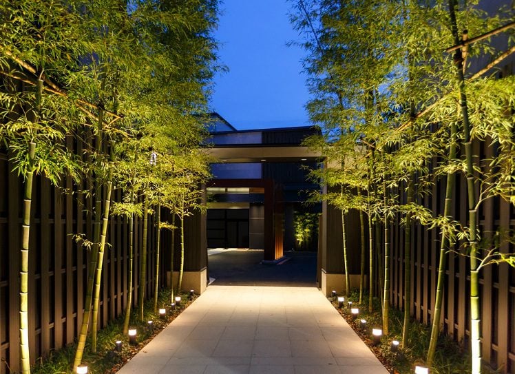 bamboo garden ideas