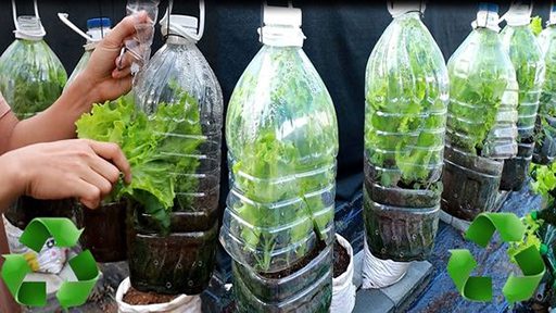diy indoor greenhouse