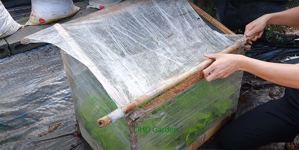 diy indoor greenhouse