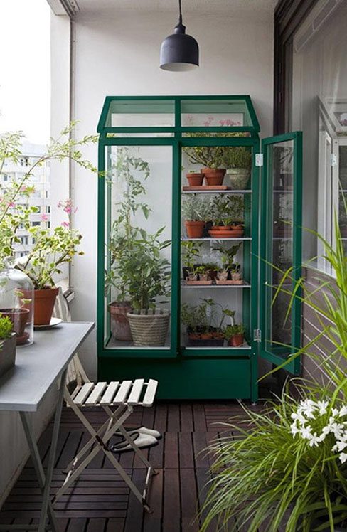 diy indoor greenhouse