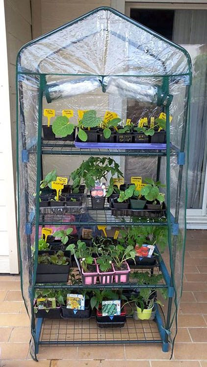 diy indoor greenhouse