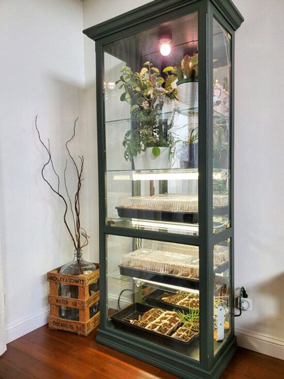 Old Display Cabinet Indoor Greenhouse