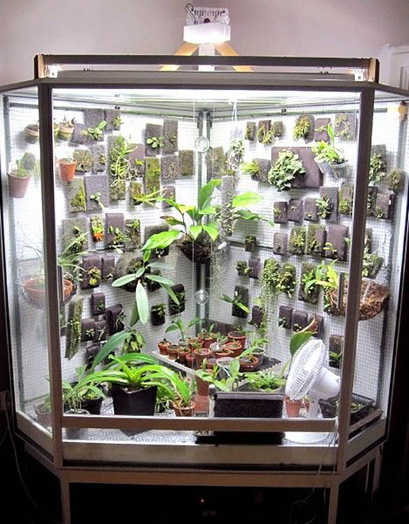 25 Best DIY Indoor Greenhouse Ideas To Bring Nature To Home