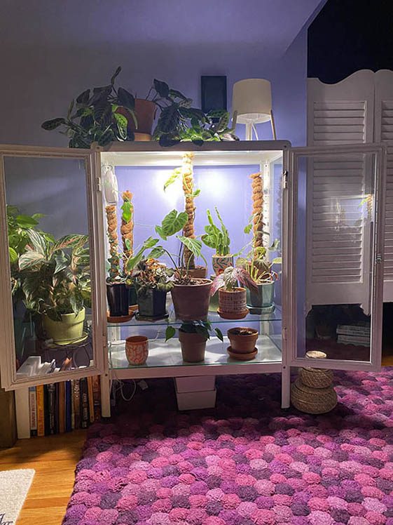 Glowing Jungle Greenhouse