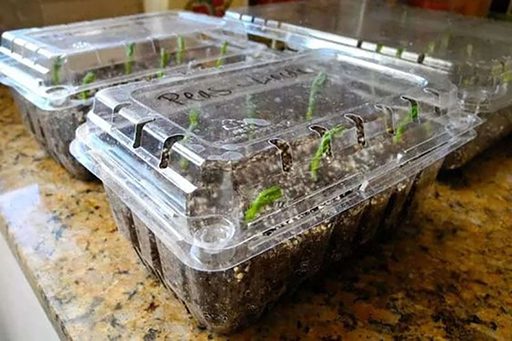 diy indoor greenhouse