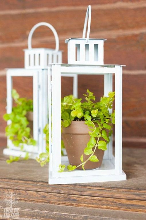 diy indoor greenhouse