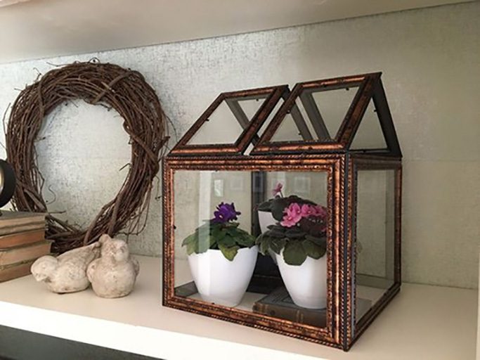 diy indoor greenhouse