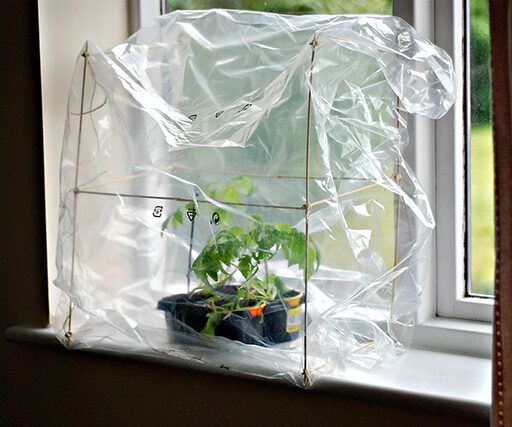 diy indoor greenhouse