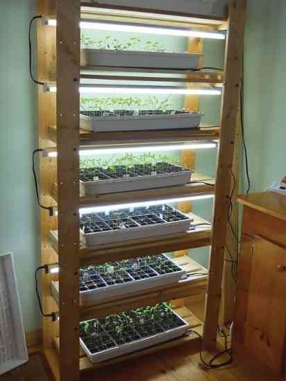 diy indoor greenhouse