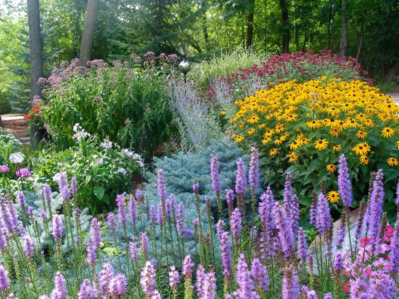 best reblooming perennials for long season garden color and low maintenance