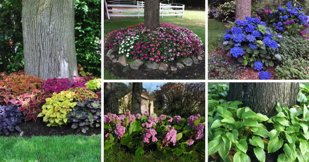 plants that thrive under tree canopies in shade gardens