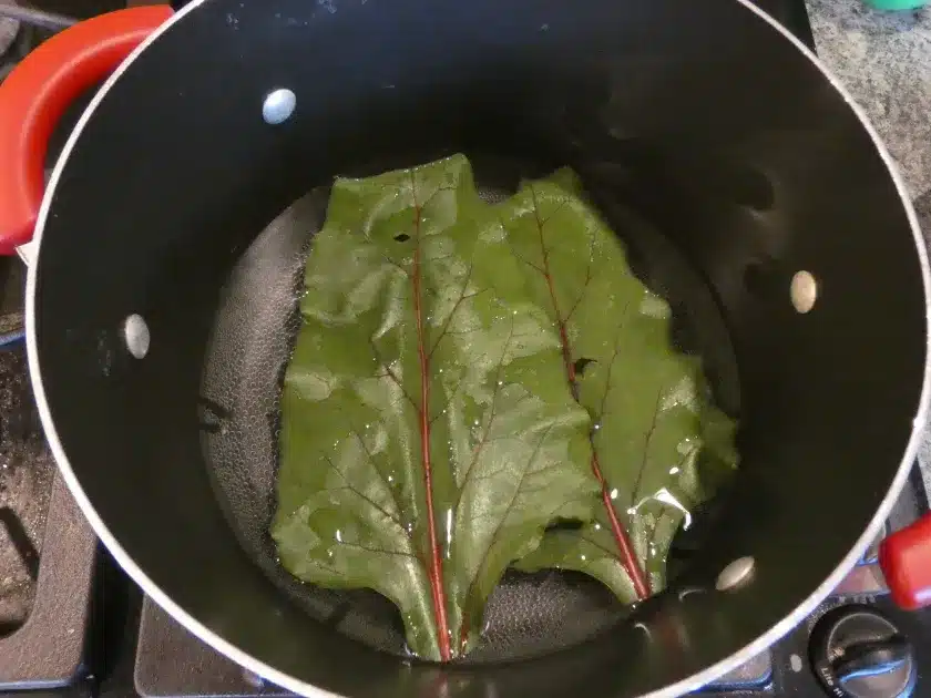 health benefits of eating beet leaves and beet greens regularly
