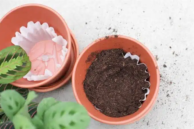 why put a coffee filter in flower pots for better drainage