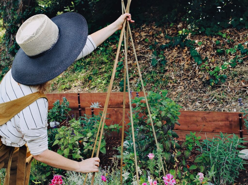 Step 3: Creating the Woven Trellis Net