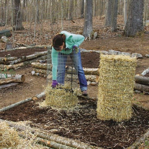 Step 1: Build the structure all at once