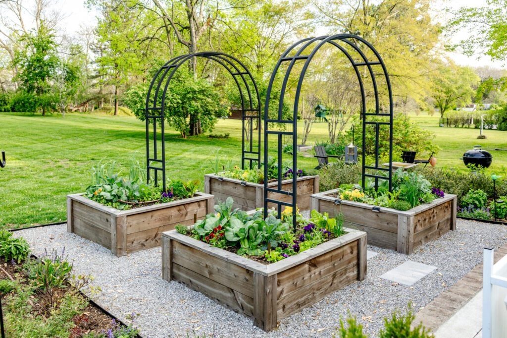 Why Choosing the Right Trellis Matters More Than You Think