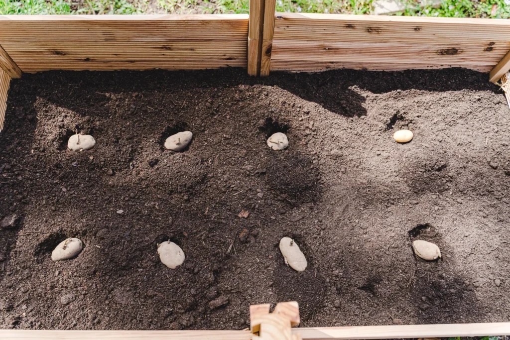 Step 2: Plant every level for maximum yield