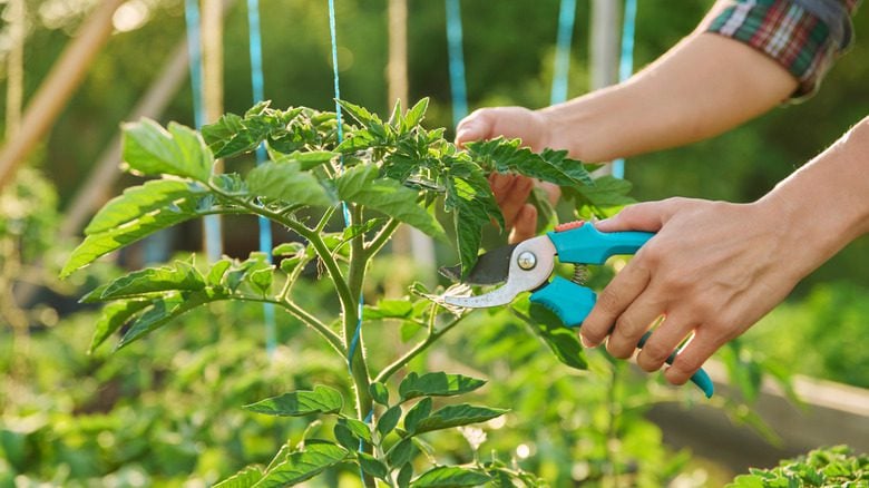 Common Mistakes I Made and How to Avoid Them