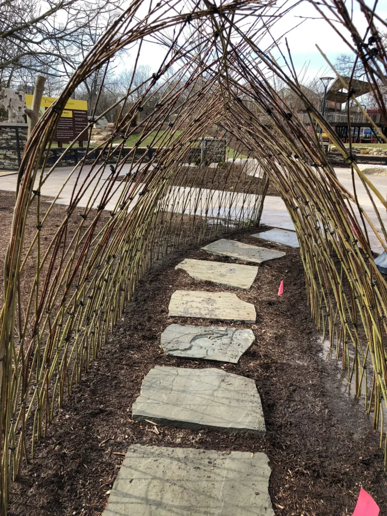 Step 3: Lay Out the Tunnel and Plant It Properly