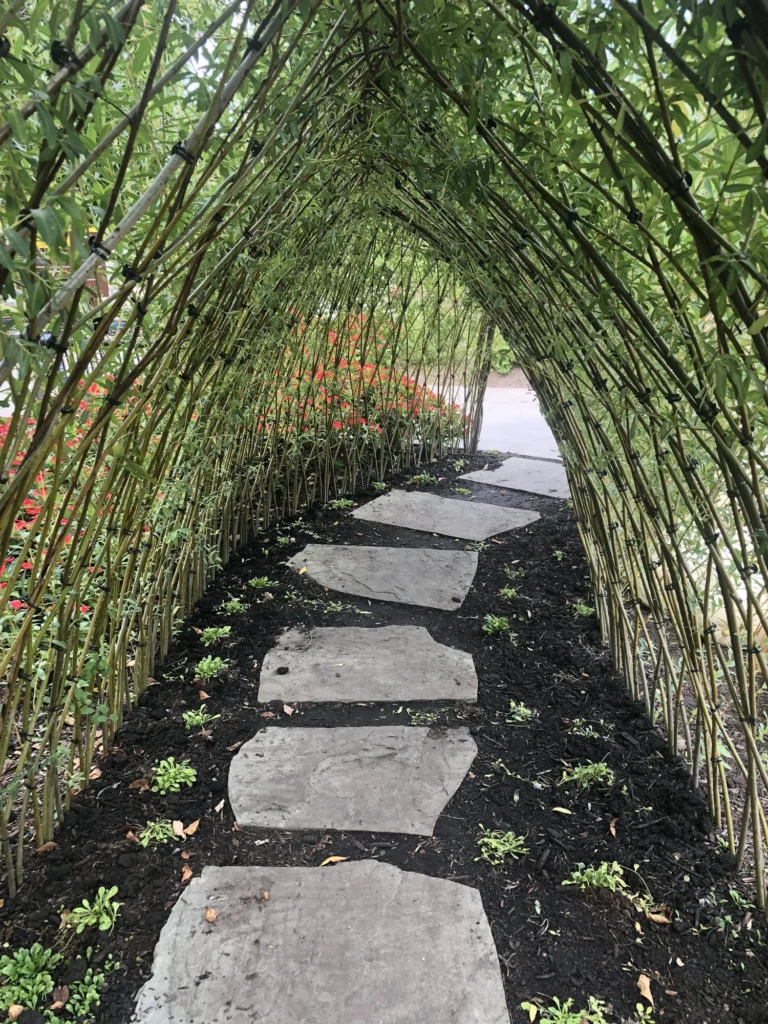 Step 5: Manage the Real Problems Early