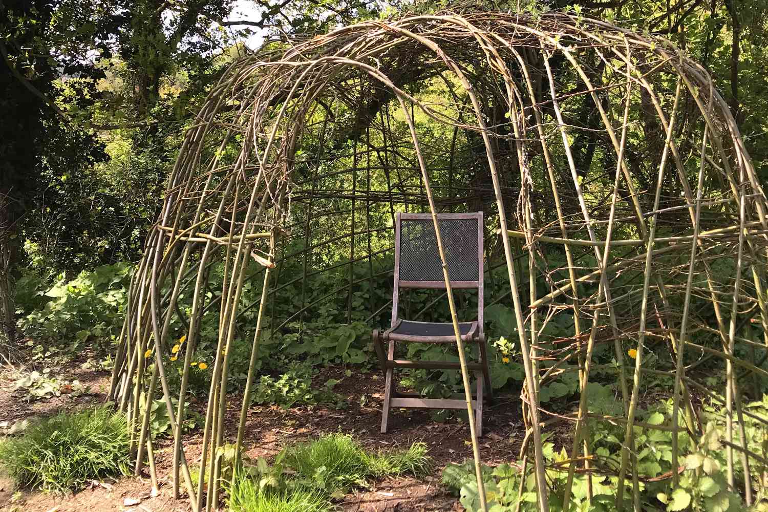 how to building living willow tunnel