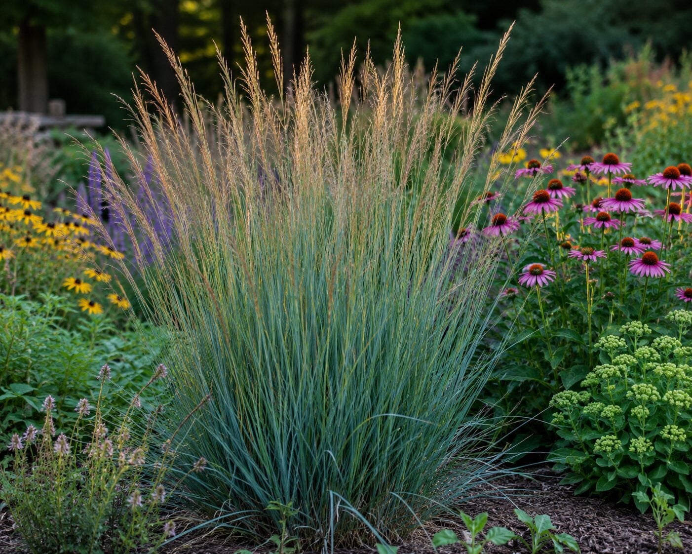 Rain Garden Ideas