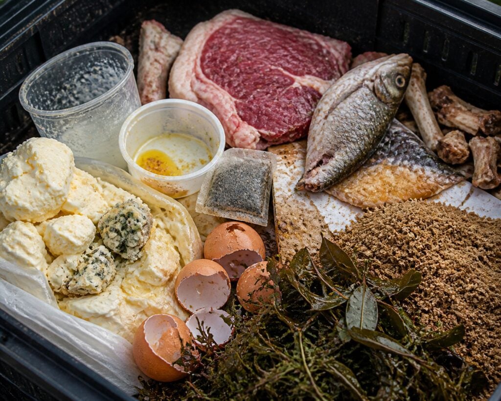 Step 4: What Not to Compost – The ‘No’ List