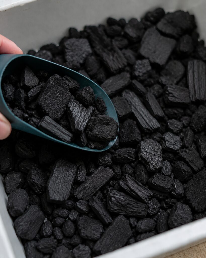 Activated Charcoal – 10%
