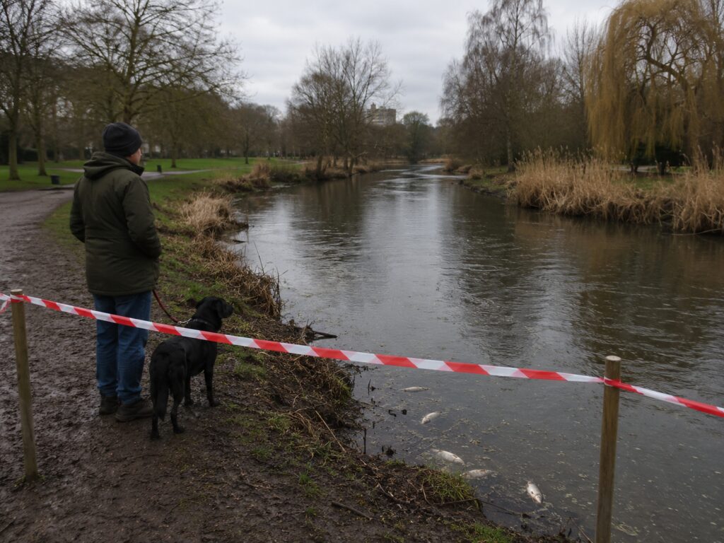 Why the Public Has Been Told to Stay Away