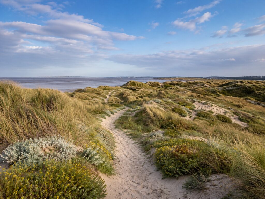 Cleethorpes sand dunes