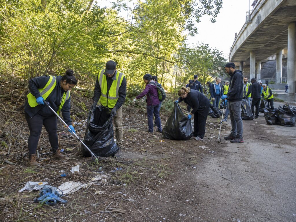 Cleaning Public Land Safely